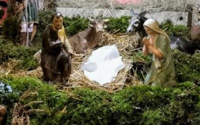 Célébrations de Noël et des prochaines semaines | Communiqué paroissial n°24